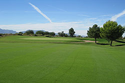 Aguila Golf Club - Arizona Golf Course 08