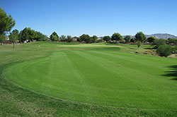 Aguila Golf Club - Arizona Golf Course 08