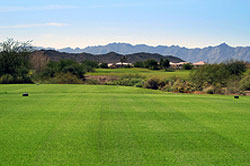 Aguila Golf Club - Arizona Golf Course 08