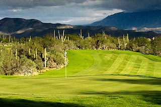 Arizonal National Golf Club