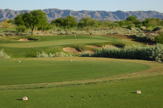 Whirlwind Golf Club Cattail - Arizona Golf Course 04