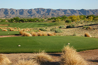 Whirlwind Golf Club Cattail - Arizona Golf Course 04