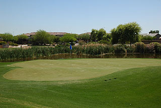 Coldwater Golf Club - Arizona Golf Course 