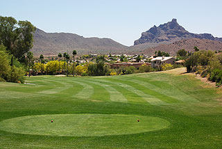 Desert Canyon Golf Club 04