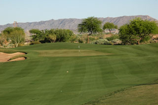 Whirlwind Golf Club Devils Claw - Arizona Golf Course 04