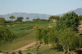 Whirlwind Golf Club Devils Claw - Arizona Golf Course 04