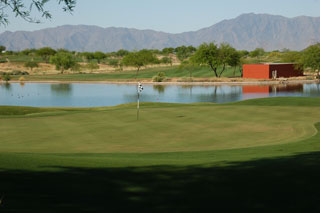 Whirlwind Golf Club Devils Claw - Arizona Golf Course 04
