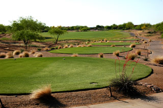 Whirlwind Golf Club Devils Claw - Arizona Golf Course 04
