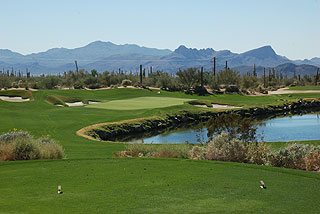 Ritz Carlton Dove Mountain Golf | Arizona golf course