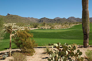 Ritz Carlton Dove Mountain Golf | Arizona golf course