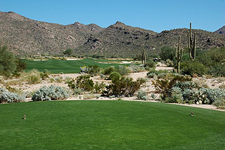 Ritz Carlton Dove Mountain Golf | Arizona golf course