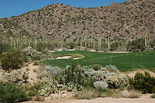 Ritz Carlton Dove Mountain Golf | Arizona golf course
