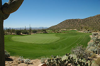 Ritz Carlton Dove Mountain Golf | Arizona golf course