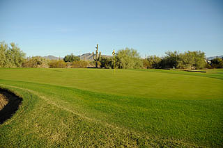 Dove Valley Ranch Golf Club - Arizona Golf Course 08