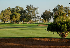 Francisco Grande Golf Club