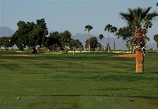 Francisco Grande Golf Club