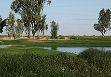 Francisco Grande Golf Club