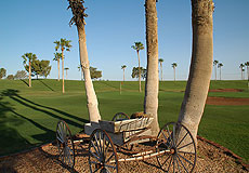 Francisco Grande Golf Club