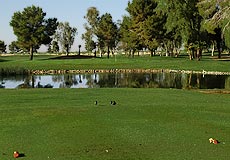 Francisco Grande Golf Club