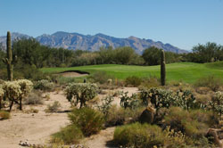 Highlands at Dove Mountain | Arizona golf course