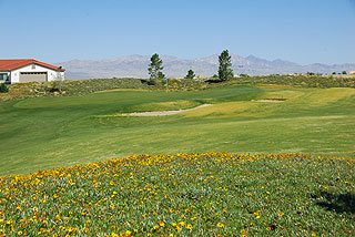 Los Lagos Golf Club - Las Vegas Golf Course