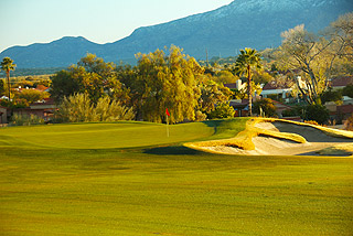 Review of the Omni Tucson National Sonoran Course 06