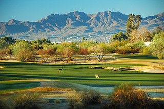 Review of the Omni Tucson National Sonoran Course 06