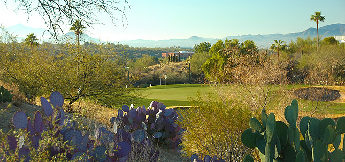 Review of the Omni Tucson National Sonoran Course 06