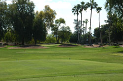 Orange Tree Golf Club 05