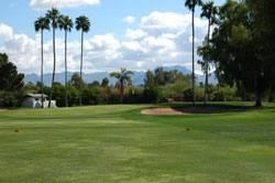 Orange Tree Golf Club