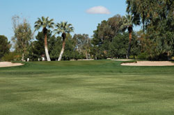 Orange Tree Golf Club