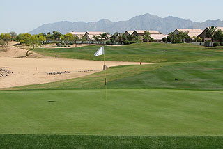 Palm Valley - Palm Course  06