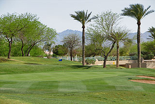 Palm Valley - Palm Course  06