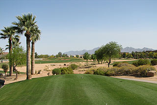 Palm Valley - Palm Course  06
