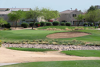 Palm Valley - Palm Course  06