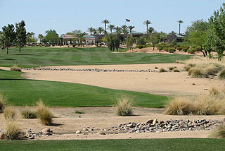 Palm Valley - Palm Course  06