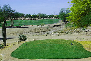 Sidewinder Course at Gold Canyon Resort - Arizona golf course 06