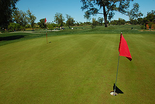 Starfire Golf Club - Arizona golf course
