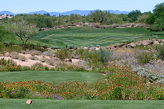 Greyhawk Golf Club - Talon Course | Arizona golf course