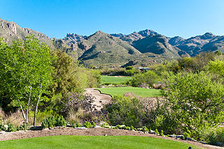 Ventana-Canyon-6542