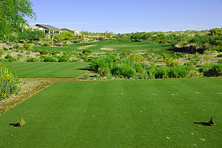 Wickenburg Ranch Golf Club | Arizona Golf