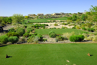 Wickenburg Ranch Golf Club | Arizona Golf
